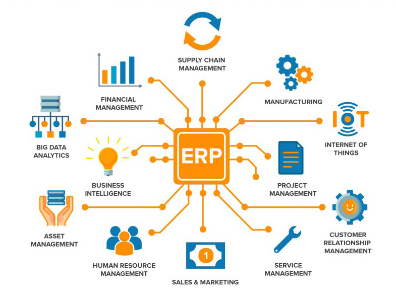 Octaware establishes ERP Business Segment